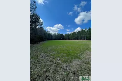0 Fish Road, Newington, GA 30446 - Photo 1
