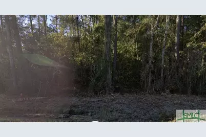 1 Ac E Oglethorpe Highway, Midway, GA 31320 - Photo 3