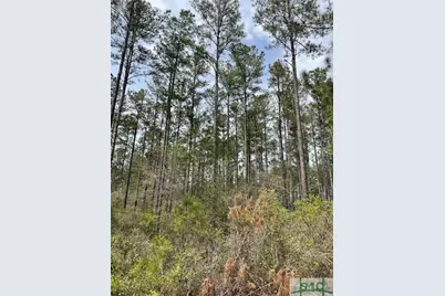 0 Pleasant Acres Road, Springfield, GA 31329 - Photo 13
