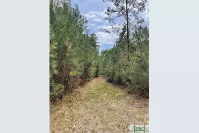0 Pleasant Acres Road, Springfield, GA 31329 - Photo 11