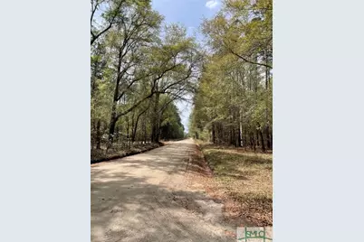 0 Pleasant Acres Road, Springfield, GA 31329 - Photo 5