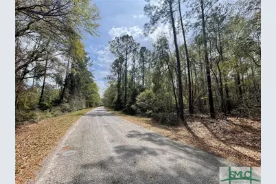 0 Pleasant Acres Road, Springfield, GA 31329 - Photo 3