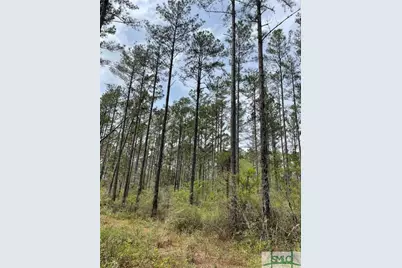 0 Pleasant Acres Road, Springfield, GA 31329 - Photo 15