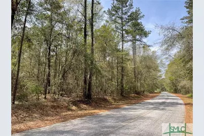 0 Pleasant Acres Road, Springfield, GA 31329 - Photo 1