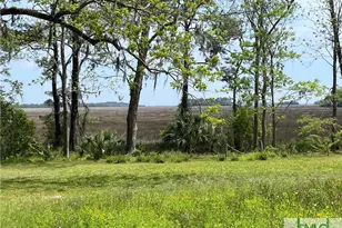 14009 Ga 99 Hwy, Darien, GA 31305 - Photo 3