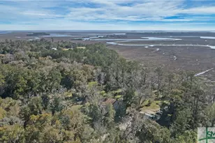 14009 Ga 99 Hwy, Darien, GA 31305 - Photo 45
