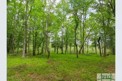 800 Silk Hope Drive, Richmond Hill, GA 31324 - Photo 9