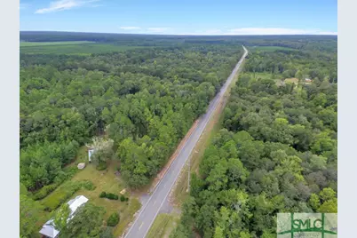 0 Highway 119, Pembroke, GA 31321 - Photo 3