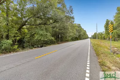 0 Highway 119, Pembroke, GA 31321 - Photo 5