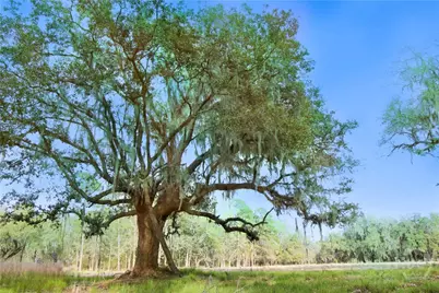 1 William's (36 Lots 95 Acres) Retreat, Savannah, GA 31419 - Photo 7