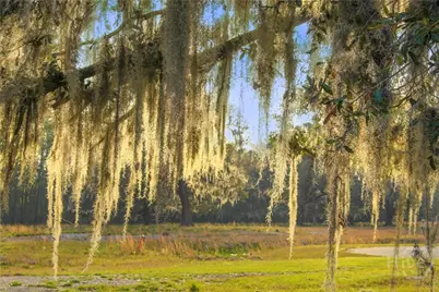 1 William's (36 Lots 95 Acres) Retreat, Savannah, GA 31419 - Photo 1