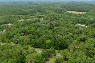 537 Long Rd, Hinesville, GA 31313 - Photo 43