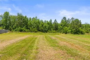 270 Summerhill Dr, Ludowici, GA 31316 - Photo 29