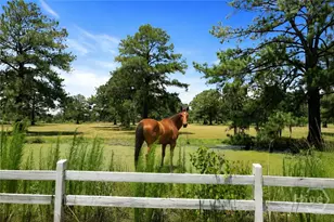 5747 Ogeechee Rd, Savannah, GA 31405 - Photo 3
