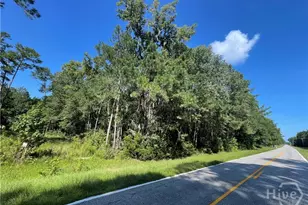 0 Reedsville Rd, Clyo, GA 31303 - Photo 1
