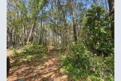 0 Skinner Place, Savannah, GA 31406 - Photo 7