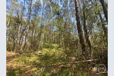 0 Skinner Place, Savannah, GA 31406 - Photo 9