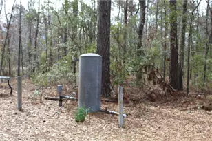 776 Phillips Rd, Midway, GA 31320 - Photo 5