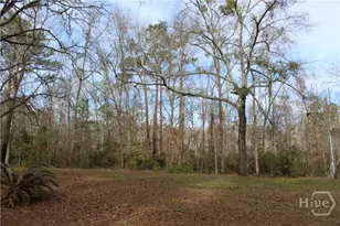 776 Phillips Rd, Midway, GA 31320 - Photo 7
