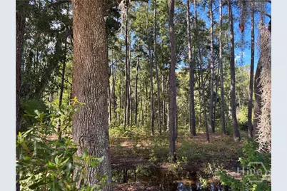 183 Wood Haven Lane, Pooler, GA 31322 - Photo 3