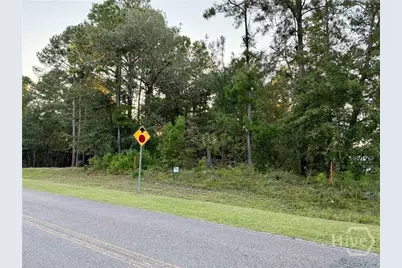 0 Friendship Road, Sylvania, GA 30467 - Photo 3