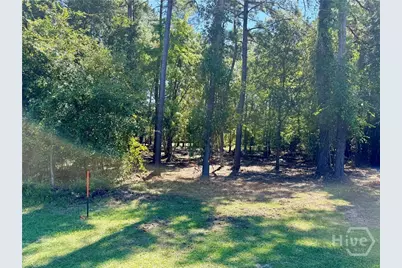 0 Friendship Road, Sylvania, GA 30467 - Photo 5