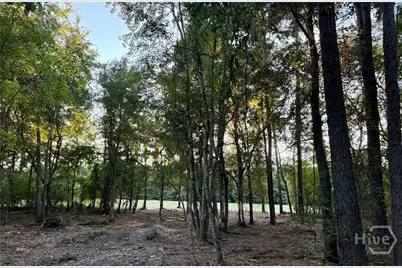 0 Friendship Road, Sylvania, GA 30467 - Photo 7