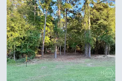 0 Friendship Road, Sylvania, GA 30467 - Photo 1