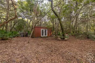 1231 Delegal Dr NE, Townsend, GA 31331 - Photo 33