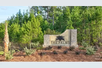19 Sago Palm Way, Bloomingdale, GA 31302 - Photo 33