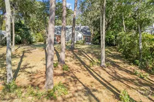 262 Mingarry Dr, Richmond Hill, GA 31324 - Photo 59