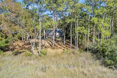 262 Mingarry Drive, Richmond Hill, GA 31324 - Photo 55