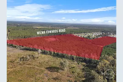 000 Wilma Edwards Road, Ellabell, GA 31308 - Photo 3