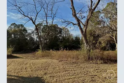 1393 Ephesus Church Road, Register, GA 30452 - Photo 7