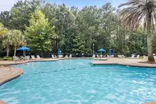 143 Carlisle Way, Savannah, GA 31419 - Photo 41