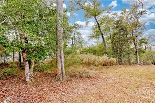 165 Cubbedge Dr, Rincon, GA 31326 - Photo 55
