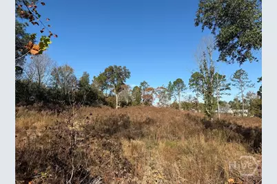 0 Green Ridge Court, Statesboro, GA 30458 - Photo 5