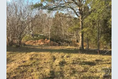8893 Sunbury, Claxton, GA 30417 - Photo 3