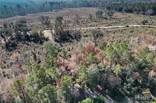 2286 Carter Bight Landing Rd, Surrency, GA 31563 - Photo 29