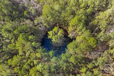 276 Hwy 119 N, Ellabell, GA 31308 - Photo 19