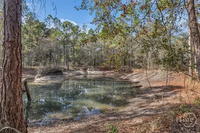 4931 Mill Branch Hunting Club Road, Nevils, GA 31321 - Photo 61