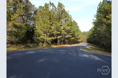 Lot 45 NE Marsh Way W, Townsend, GA 31331 - Photo 15