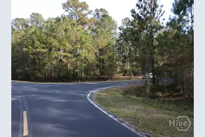 Lot 45 NE Marsh Way W, Townsend, GA 31331 - Photo 11