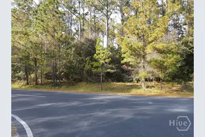 Lot 45 NE Marsh Way W, Townsend, GA 31331 - Photo 13