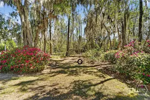 273 Shadow Moss Cir, Richmond Hill, GA 31324 - Photo 47
