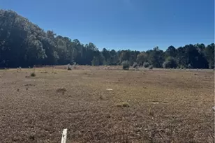 353 Wilder Rd, Allenhurst, GA 31301 - Photo 17