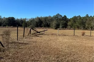 353 Wilder Rd, Allenhurst, GA 31301 - Photo 13