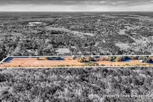 580 Old Gress Island Rd, Midway, GA 31320 - Photo 31