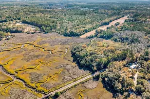 580 Old Gress Island Rd, Midway, GA 31320 - Photo 29