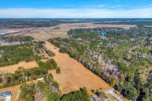580 Old Gress Island Rd, Midway, GA 31320 - Photo 25
